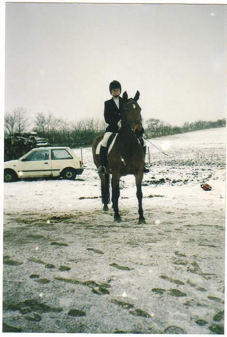 Anden særlig race Tasiba billede 3