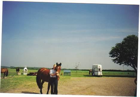 Anden særlig race Tasiba - Tasiba og jeg :-) billede 6