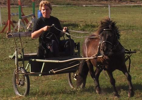 Anden særlig race Kalle - Kalle, Bobby og jeg køre :-) billede 19