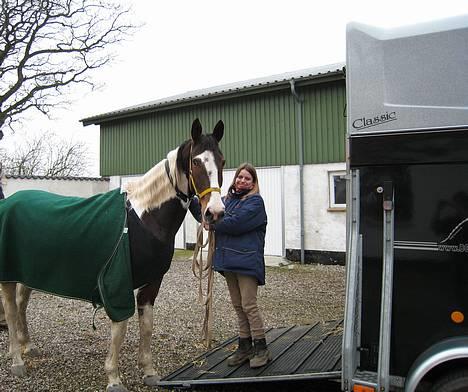Pinto Tequilla - Kommer hjem fra køretur billede 10