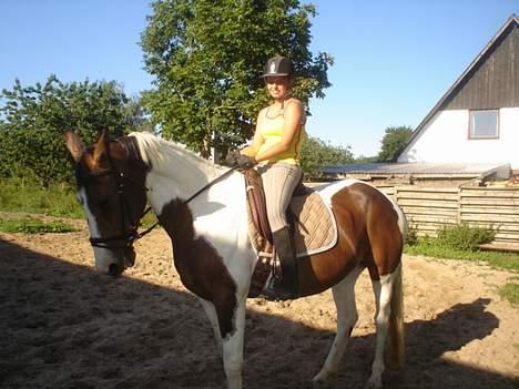 Pinto Tequilla - Parade til ære for fotografen billede 11