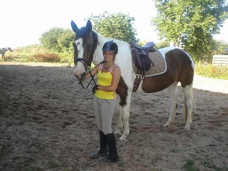 Pinto Tequilla billede 16