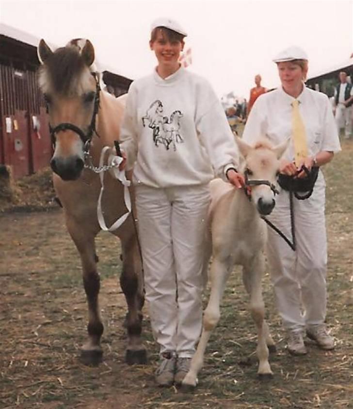 Fjordhest Freja Toft ¤ R.I.P ¤ - Freja Toft på dyrskue 1994 m. føl billede 5