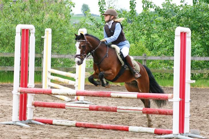 Irsk Sportspony Mr. Glen R.I.P. - stævne med Daniella, da han var lejet ud, Fotograf: kaytrin billede 6