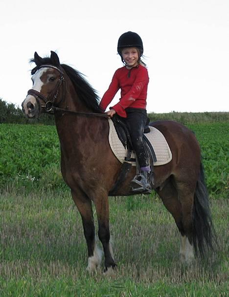 Irsk Sportspony Mr. Glen R.I.P. - den Flotte:o) billede 7