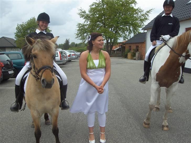 Anden særlig race Nali - Hvil i fred <3 - fordi du altid er trofast. 
du er et bedre sted nu uden smerter og sygdom - du kom, du vandt mit hjerte og nu har du taget det med dig<3
 billede 7