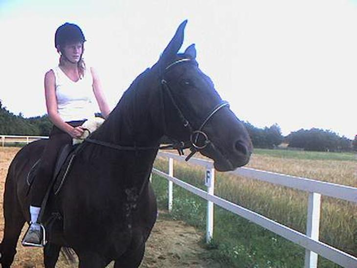 {{currentPhoto.altText}} billede {{currentPhoto.number}}