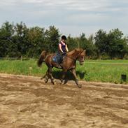 Anden særlig race Cassiopeia Star (Reba)