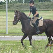 Oldenborg Egelund Nova R.I.P