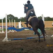 Oldenborg Egelund Nova R.I.P