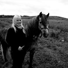 Dartmoor Mannerups Blue Willow