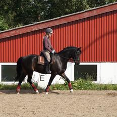 DSP Freki Pascal (SOLGT- men savnet)