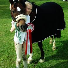 Welsh Pony (sec B) Gribsvads Tango | solgt |