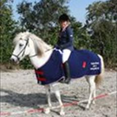 Islænder Perla fra Randrup