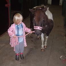 Anden særlig race Jo jo