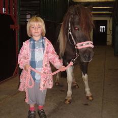 Anden særlig race Jo jo