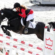 Tysk Sportspony Inaara A-Pony