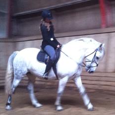 Anden særlig race Esther