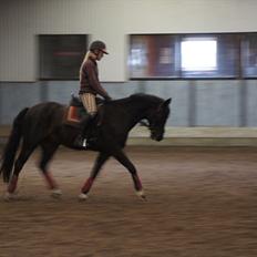 DSP Freki Pascal (SOLGT- men savnet)