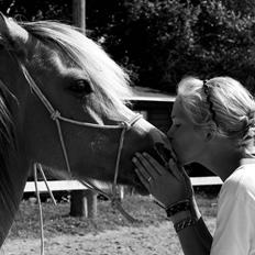 Anden særlig race Princess R.I.P †SOULMATE†