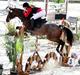Belgisk Sportspony Magic Ball A-Pony
