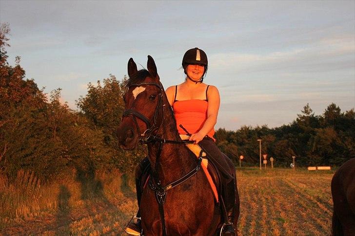 Fuldblod (XX) Valliang *Min stjerne* - Smiiil :-D billede 17