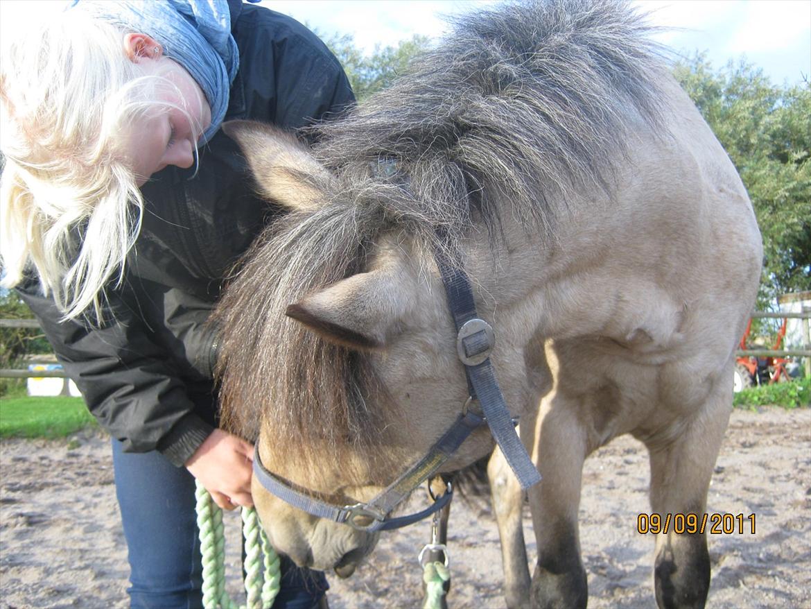 Anden særlig race Mikkel  - Bedste! billede 15