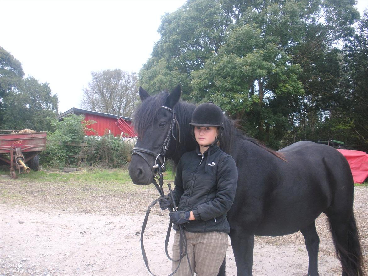 Welsh Cob (sec D) Chanel - Jaja...jeg er lidt grim i fjæset men f*ck det(-;
-Jeg elsker dig minskat<3 billede 8