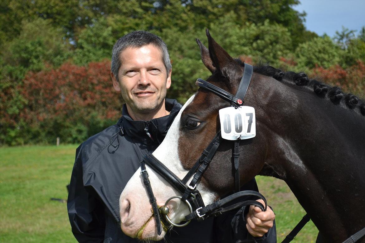 Anden særlig race Bjeldbaks Bingo B-pony - Bingo og far 
(Kragelund 11.09.11) billede 7