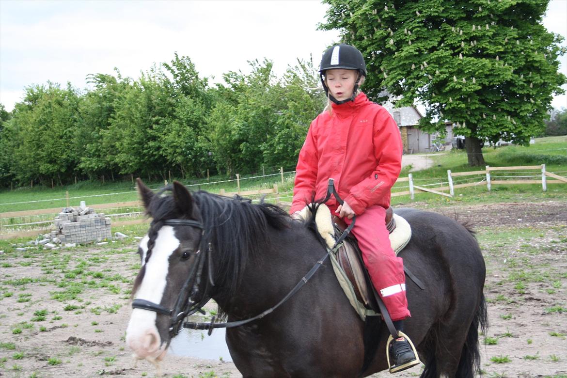 Irish Cob Finnuala Of Ireland - Finnu og min datter Olivia. billede 5