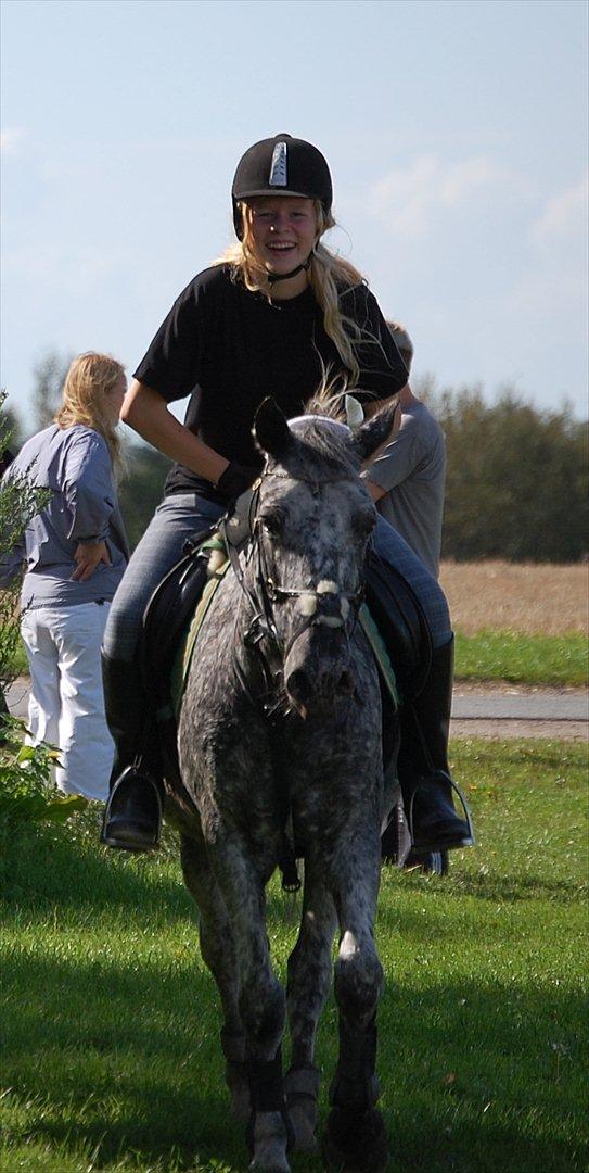 Appaloosa Benno - Efter ringridningsstævnet. billede 7
