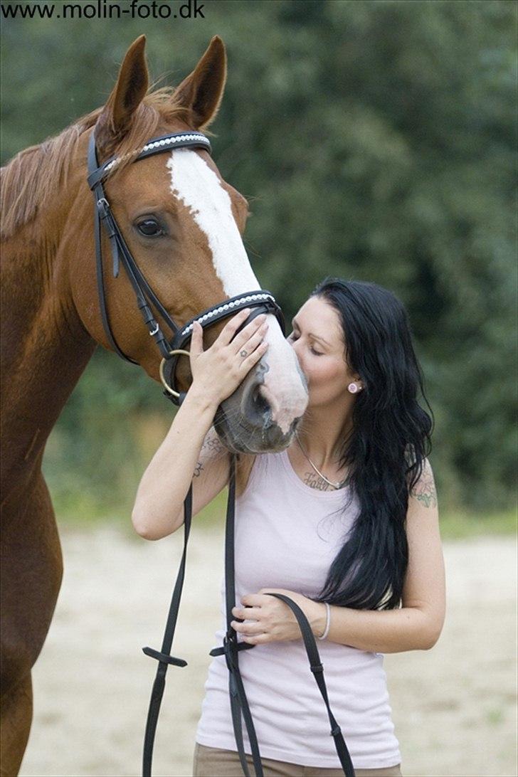 Dansk Varmblod Wenezia (Tulle) R.I.P - Kærlighed <3 billede 6