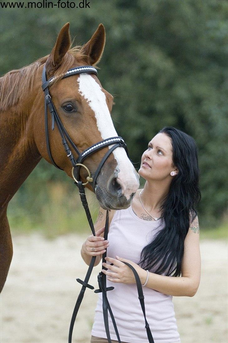 Dansk Varmblod Wenezia (Tulle) R.I.P billede 9