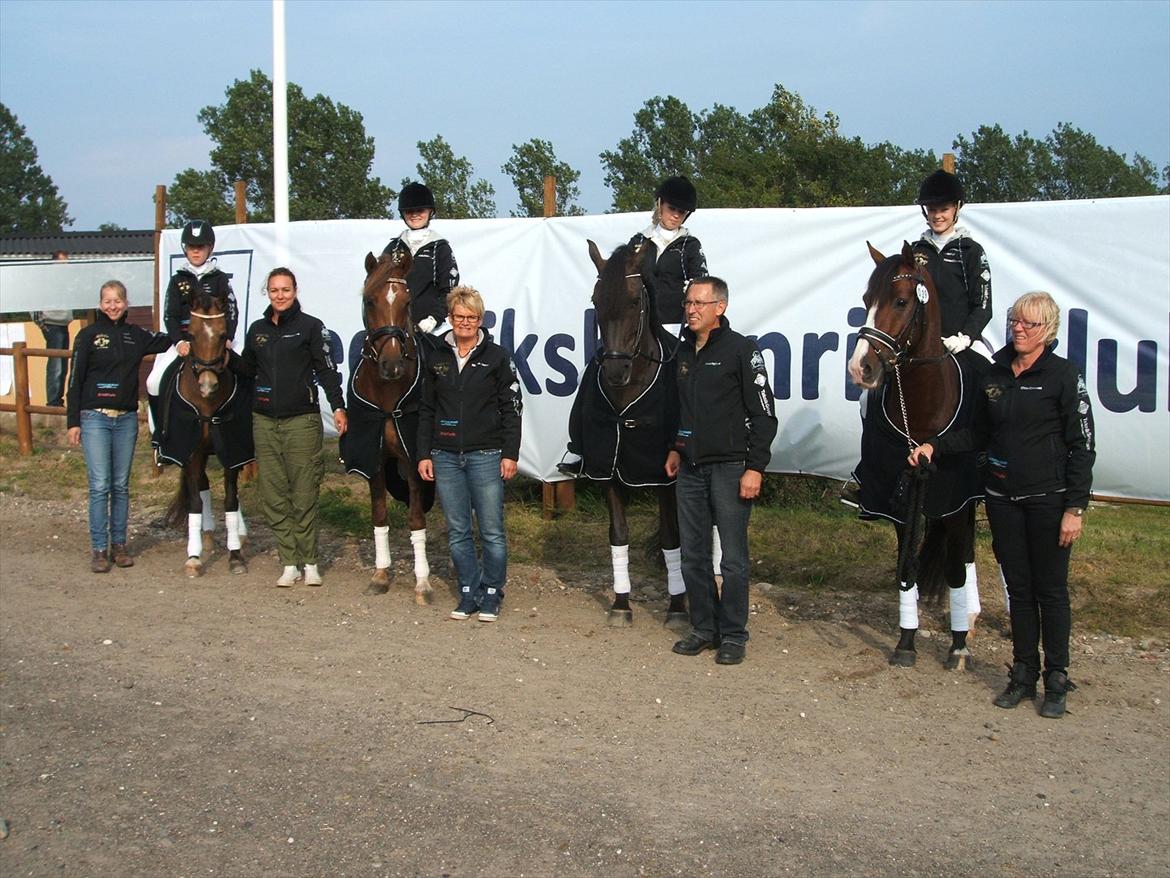 Anden særlig race Mitsy B pony - Frederikshavn 2011 billede 20