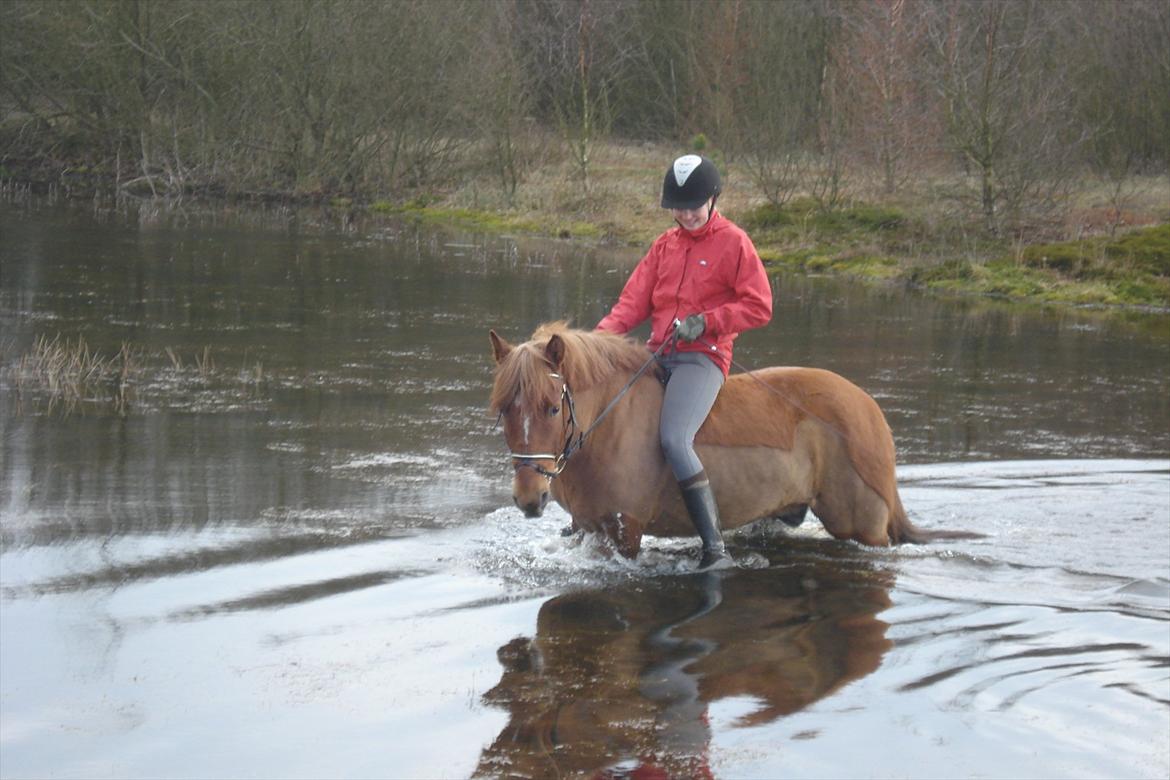 Anden særlig race Aron  - vi elsker vand billede 8