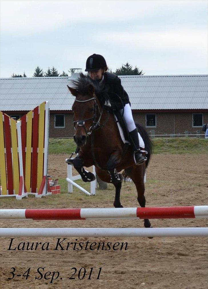 Anden særlig race Anja - LD Hundborg stævne:-) billede 20