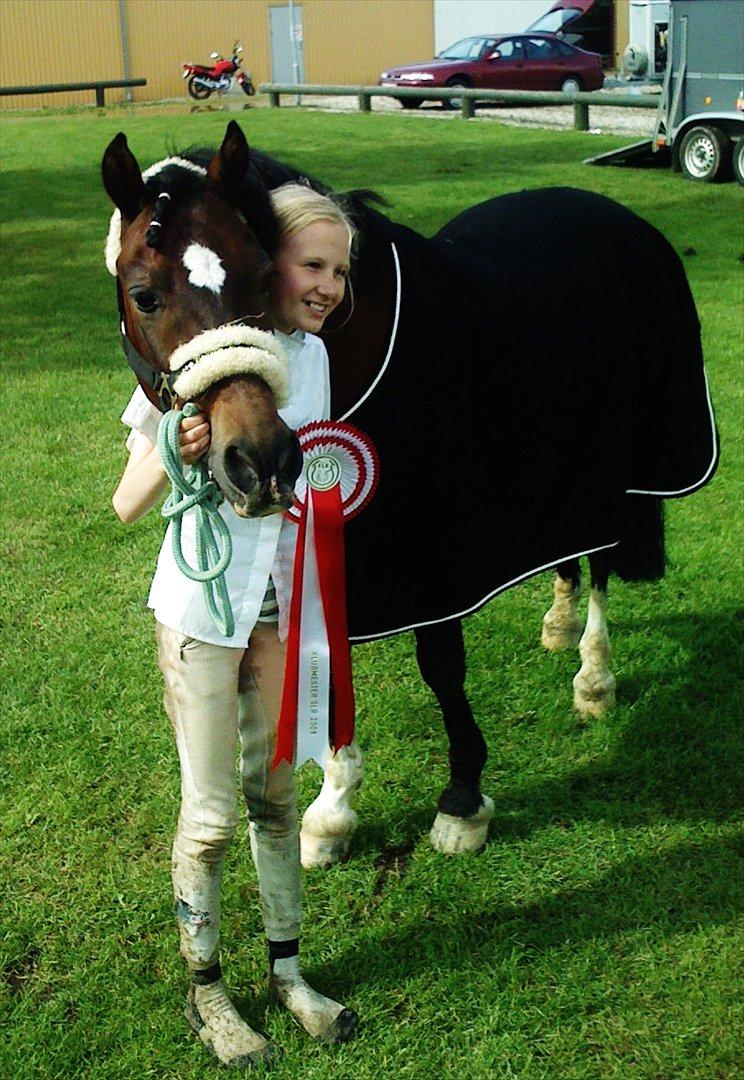 Welsh Pony (sec B) Gribsvads Tango | solgt | - Da vi blev klubmestre <3 Glemmer aldrig den dag :D billede 1