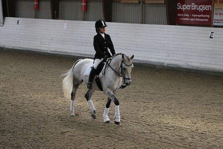 DSP o'hara billede 5