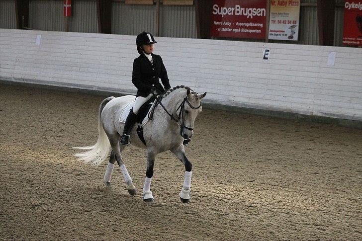 DSP o'hara billede 6