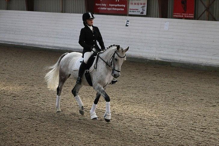 DSP o'hara billede 7