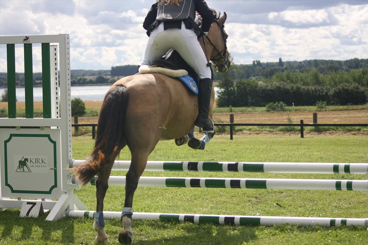 Connemara Com'si billede 16