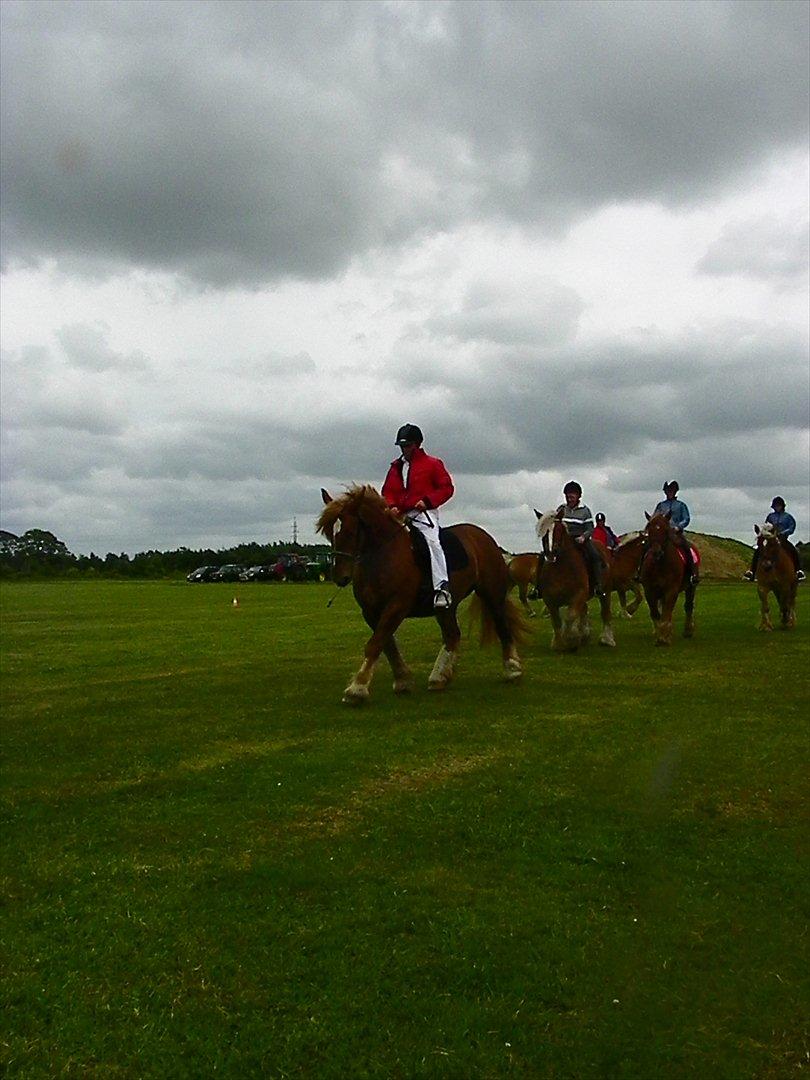 Jyde Frigg billede 3