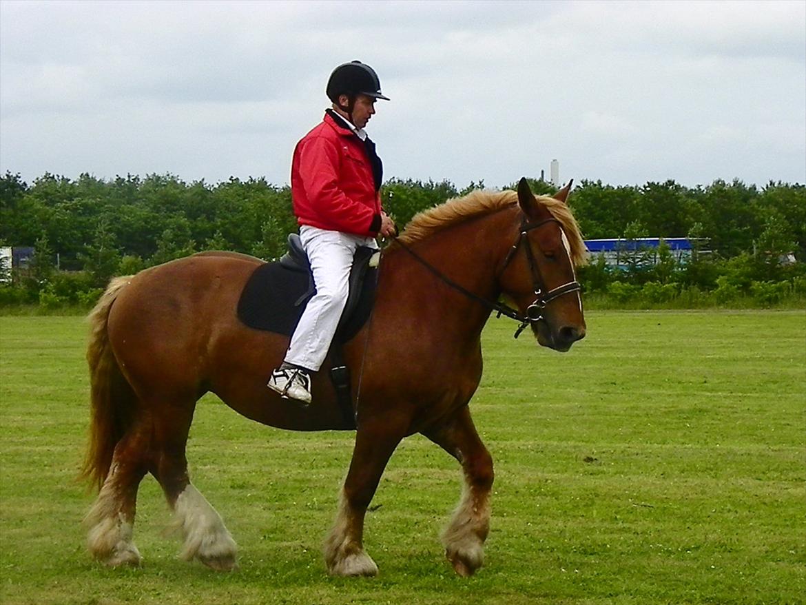 Jyde Frigg billede 5