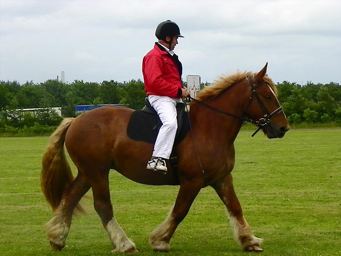 Jyde Frigg billede 8