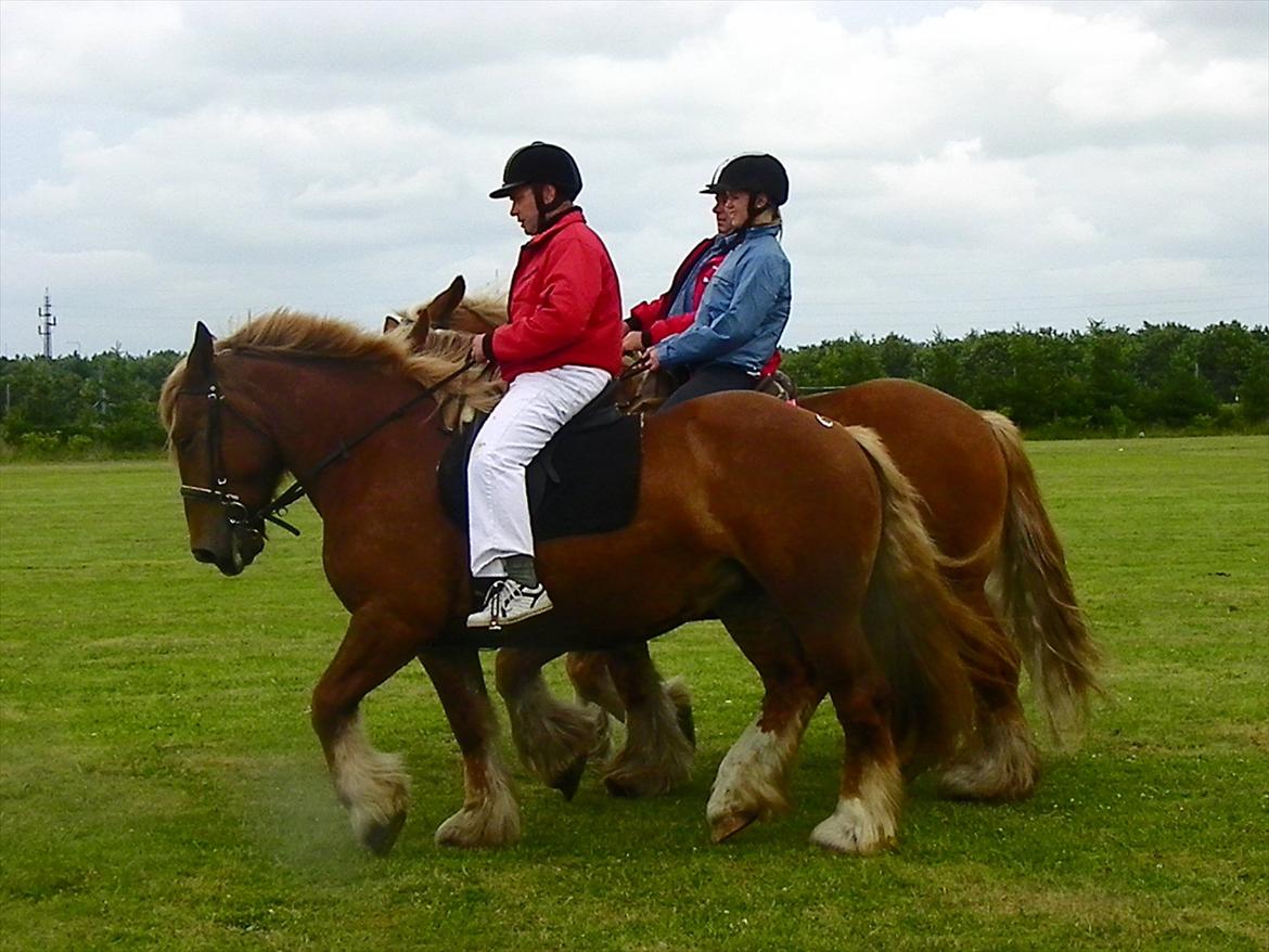 Jyde Frigg billede 12