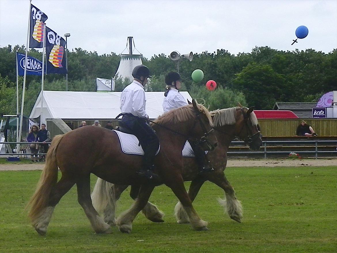 Jyde Frigg billede 15