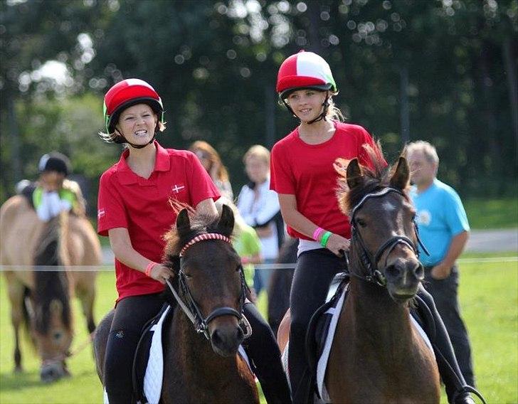 Anden særlig race Buster Larsen (I GENOPTRÆNING) - Store Hestedag 2011.
DM Par, med Bedsteveninden! ♥ billede 3