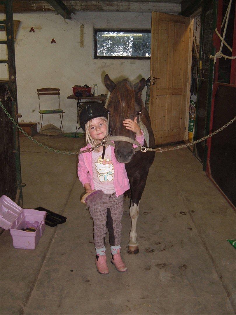 Anden særlig race Jo jo billede 4