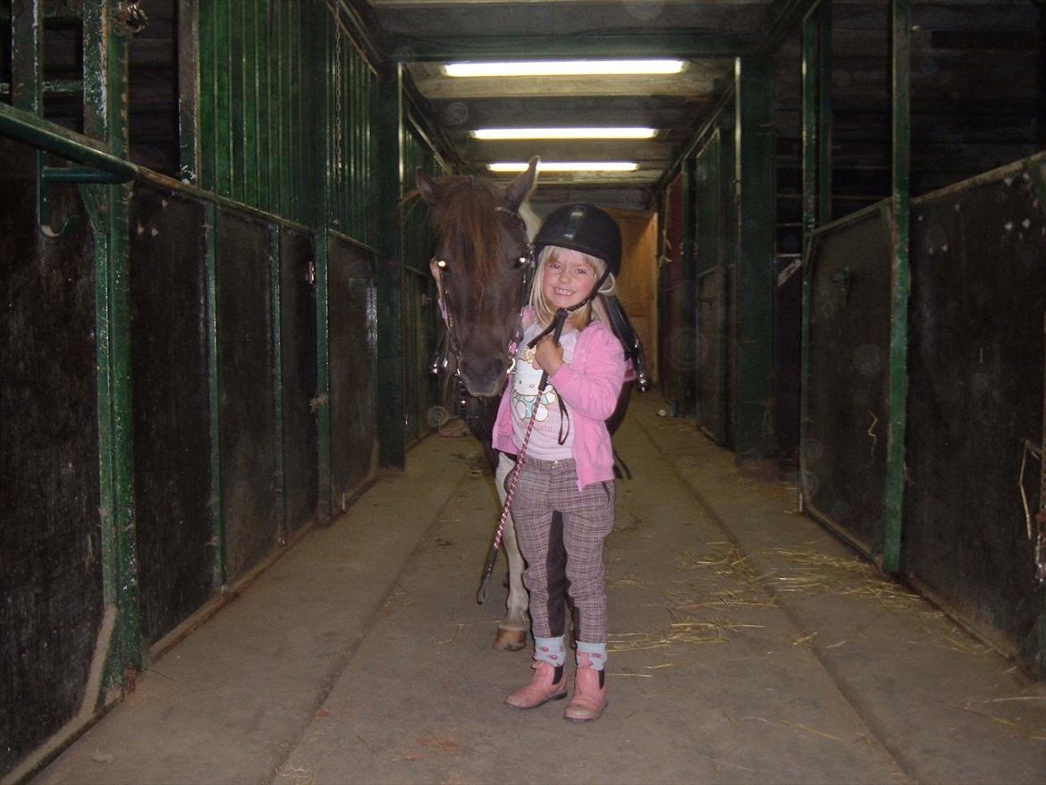 Anden særlig race Jo jo billede 6