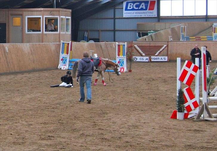 Welsh Pony (sec B) Teggi (SOLGT) - hmm det var ikke så godt kom til at smide mor af jeg skulle bare vær blevet stående ved springet i stedet så var det aldrig sket.. billede 4